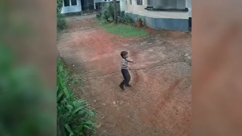 Roadside chaos turns dramatic as fearless child confronts stray dog, forc... Video stock 321857640