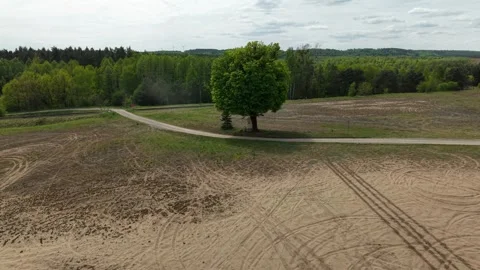 Roadside Chapel Under Lone Tree – Low Orbit Right Wide Aerial Cinematic Pass Stock Footage 335101539