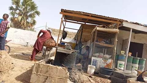 Roadside Chicken Selling And Processing Ungogo Kano Nigeria Stock-Footage 329676537