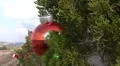 Roadside Christmas Trees In Austin, Texas HD Footage