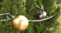 Roadside Christmas Trees In Austin, Texas HD Footage