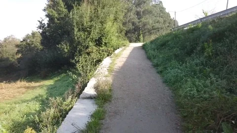 Roadside country walk hyper-lapse Video stock 229780163