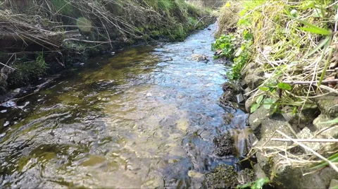 Roadside ditch ripples through spring meadow 스톡 동영상 68390108