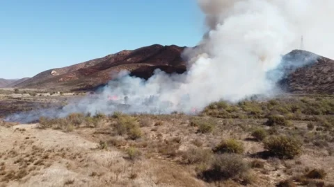 Roadside Fire Vídeos de archivo 166663666