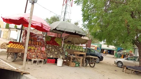 Roadside Fruit Stall Display Under Umbrellas Kano Nigeria Stock Footage 331563980