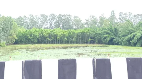 Roadside Guardrail by Green Landscape Stock-Footage 343909297