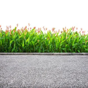Roadside isolated Stock Photos