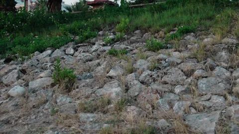 Roadside Landscape Stock Footage 339707153