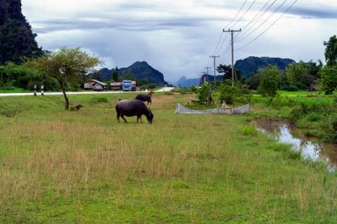 Roadside landscape. Stock Photos