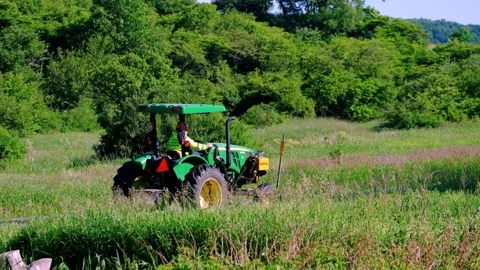 Roadside Maintenance - A Tractor With A Special Cutting Device Cutting Video stock 171310038