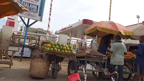 Roadside Mango And Date Vendors On Wheelbarrows Kano Nigeria Stock-Footage 330596001