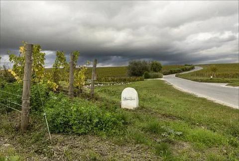 Roadside marker post stating that Perrier Jouet owns the vineyards Stock Photos