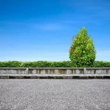 Roadside  pavement and tree Stock Photos