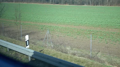 Roadside scenery with fields and trees Video stock 306774997