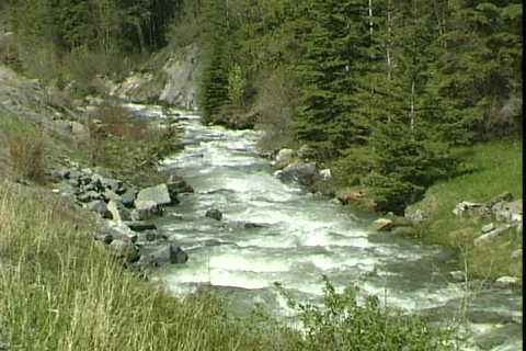Roadside Stream Stock-Footage 819977