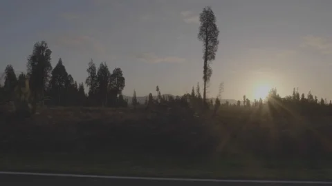 Roadside Sunset 4k Video stock 124566169