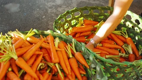 Roadside Vendors Picking Fresh Carrots from a Produce Basket Stock Footage 341447865