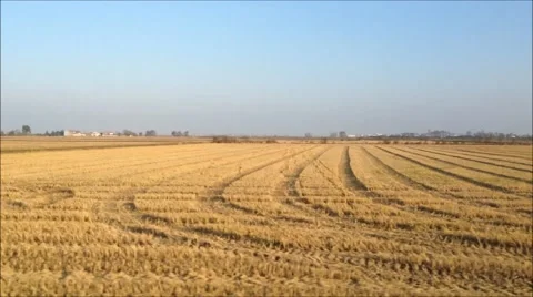 Roadside view from car passenger window (HD) Stock Footage 69060337