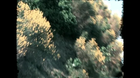 Roadside View with Flowers Stock Footage 277585231