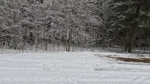 Roadside view, landscape view from the car window on a white snowy winter day. Stock Footage 325117994