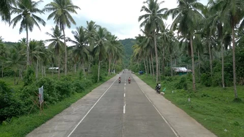 Roadside View of Palm Trees Lining a Tropical Highway in Siarago 스톡 동영상 321891306