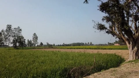 Roadside (Village Motion) Stock Footage 170241277