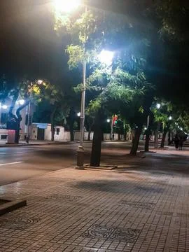 Roadside walkway between trees at night Stock Photos