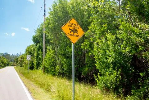 A roadside warning sign to protect Gopher Tortoises on Sanibel Island, Florid Stock Photos