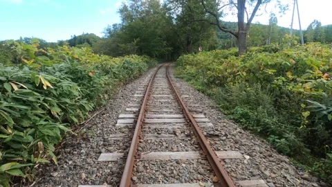 Roadway Stock Footage 317314827