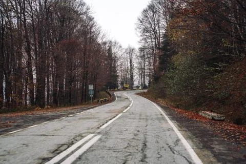 Roadway inside of forest at late fall with red foliage on the pavement Stock-Fotos
