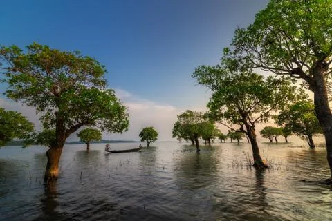 ROAMING AT EVENING Stock Photos
