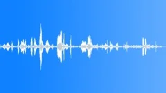 Roaring Animal Sound Effect