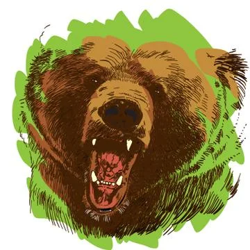 Roaring bear. Bear head. Wild bear. Brown bear head. Illustrazione stock