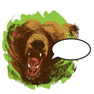 Roaring bear. Bear head. Wild bear. Brown bear head. Stock Illustration