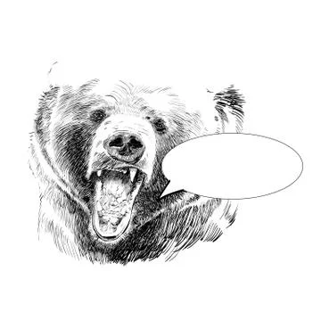 Roaring bear. Bear head. Wild bear. Brown bear head. Stock Illustration