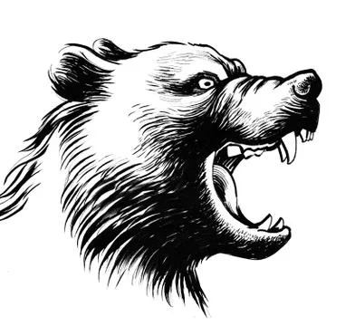 Roaring bear Illustrazione stock