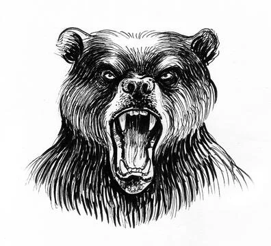 Roaring bear Illustrazione stock