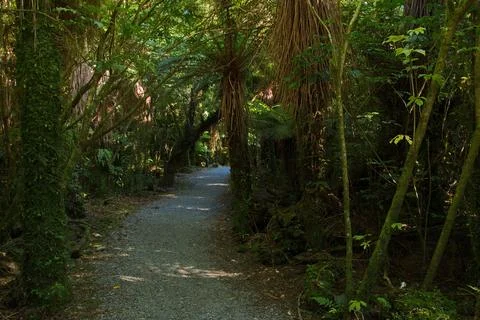 Roaring Billy Falls Walk in Mount Aspiring National Park,West Coast Stock Photos
