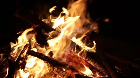 Roaring Campfire Base 50fps 库存影片 49815207