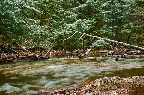 Roaring Creek Stock Photos
