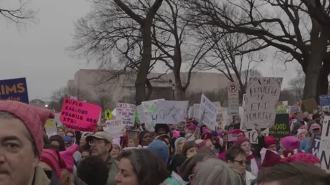 Roaring Crowd Cheer Protest - Womens March DC Stock Footage 81257593