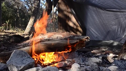 Roaring day time campfire Vídeos de archivo 78547198