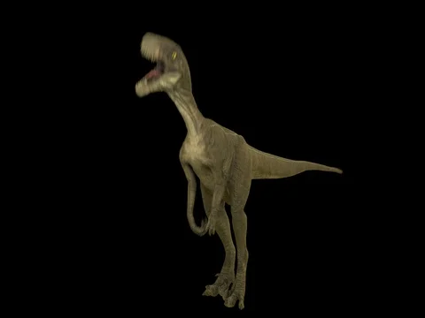 Roaring dinosaur Velociraptor. 動画素材 75570107
