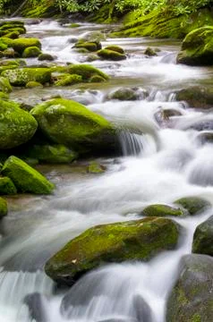 Roaring Fork Foto stock