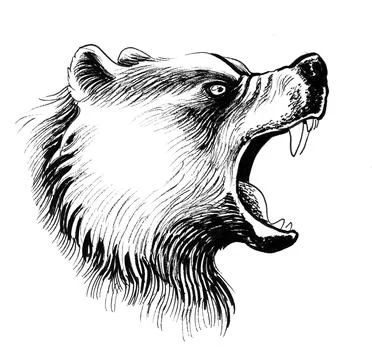 Roaring grizzly bear Stock-Illustration