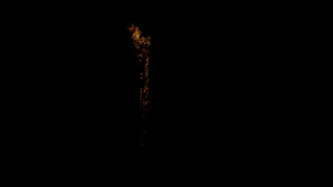 Roaring Ground Fire Compositing Element on black screen Stock Footage 325834587