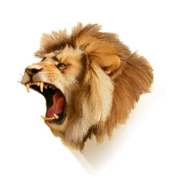 Roaring lion, head vector illustration Stock Illustration