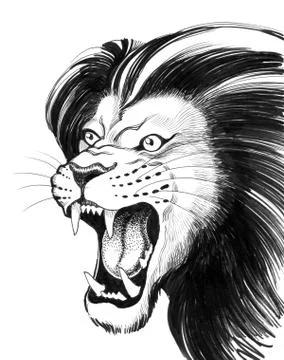 Roaring lion Stock Illustration