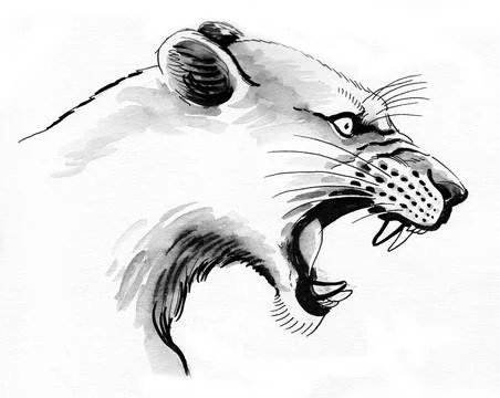 Roaring lioness Illustrazione stock