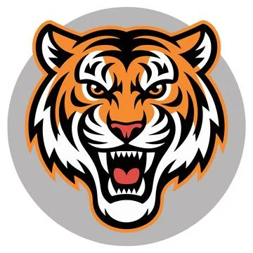 Roaring orange tiger face graphic with sharp teeth イラスト素材